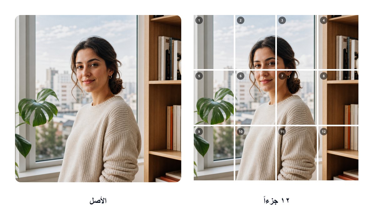 الأصل بجانب نفس الصورة بعد تقسيمها الى 12 جزءاً مرقّمة — الأصل مقابل 12 أجزاء