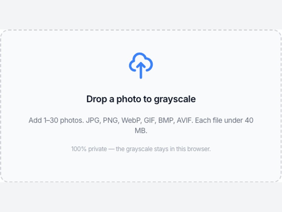 The Grayscale Image upload box on this page, the dashed area where you add a JPG, PNG, or WebP.