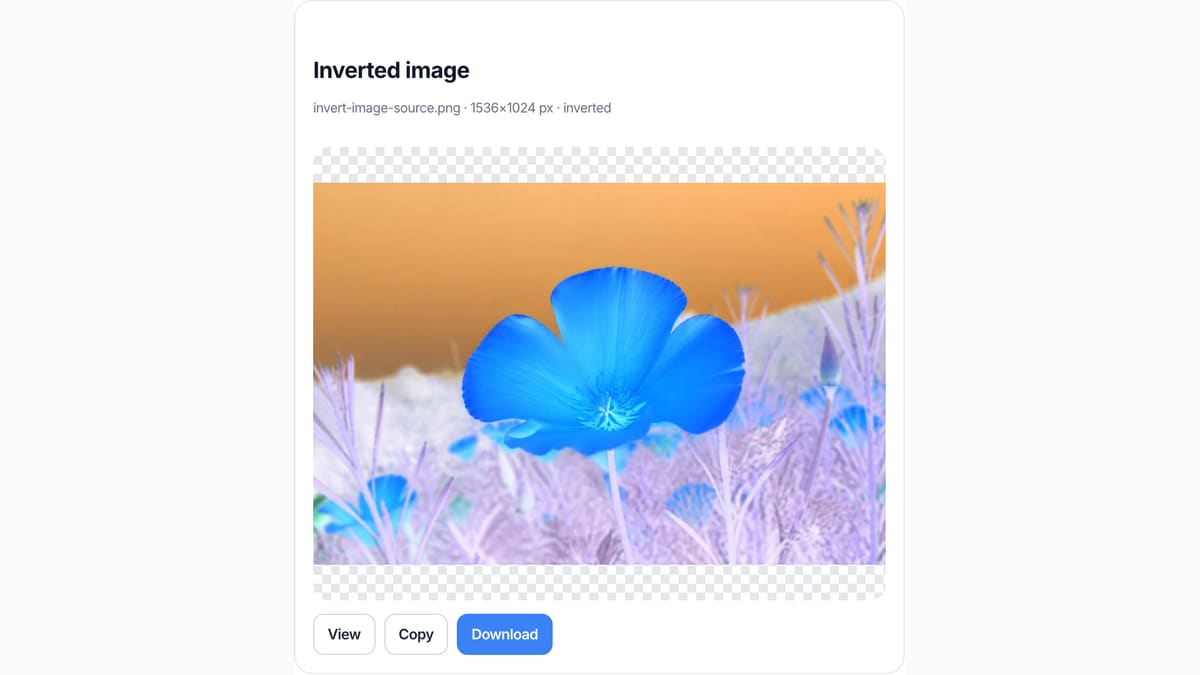 The Invert Image Colors download chips on this page after the preview is already the inverted file.