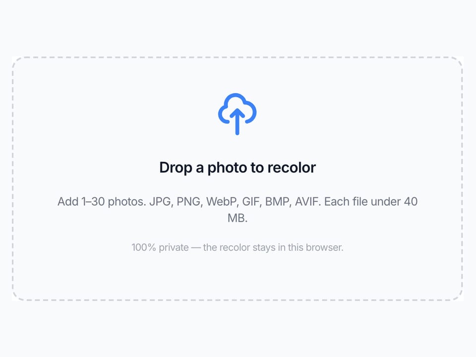The Recolor Image upload box on this page, the dashed area where you add a JPG, PNG, or WebP.